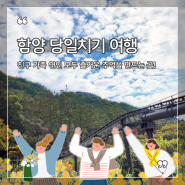 함양당일치기여행 대봉산휴양밸리 모노레일&집라인