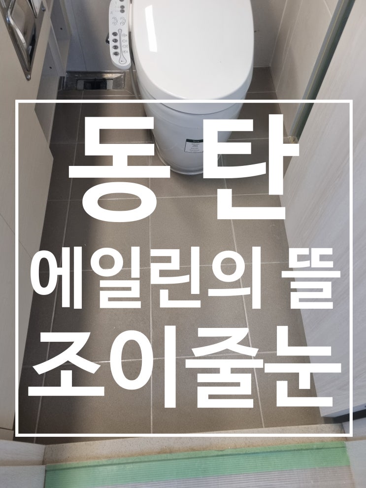 동탄 에일린의 뜰 대표 시공 사진