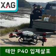 [SG드론] 충남 태안 지페이드론 XAG P40 납품,입제 살포 시연