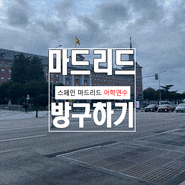 스페인 마드리드에 정착해서 방도 구하고 어학원도 다닐예정....