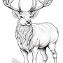 사슴 순록 도안 밑그림 스케치 컬러링북 미술자료Deer Reindeer Sketch Coloring Book