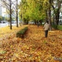 화려한 낙엽이 뒹구는 거리에 쓸쓸한 노인의 뒷모습