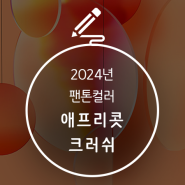 2024 팬톤컬러 알고 트렌드에 한 발짝 가까워지기