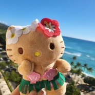 하와이 신혼여행 day11(코나커피/치즈케익팩토리/호놀룰루쿠키/아일랜드 빈티지 쉐이브 아이스/마구로스팟)