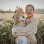29개월 육아일기 울산 명촌 억새, 밀양 캠핑장 2박 3일
