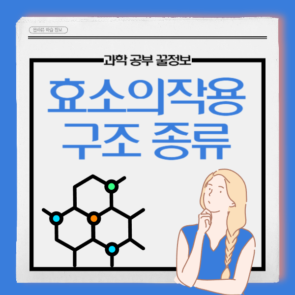 효소의 작용과 특성 반응하는 과정 효소 구조와 종류 활성에 영향을 미치는 요인 : 네이버 블로그