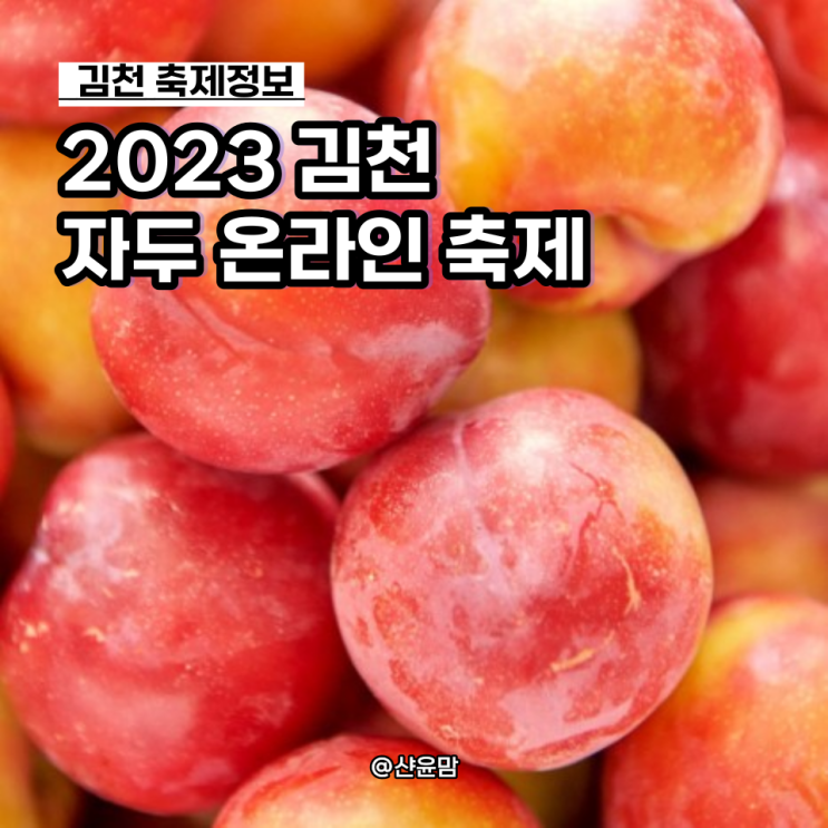 2023 김천 자두 온라인 축제 :: 기본정보 김천 대석자두 포모사자두 축제 할인구매방법 : 네이버 블로그