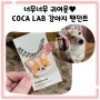 [COCA LAB] 꼬까랩 강아지 인식표 리뷰💖