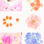 아이패드로 그리는 수채화 꽃 그림, 온라인 클래스 수강생 모집. 오픈 기념 프로모션. 아이패드 드로잉