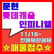문현 롯데캐슬 인피니엘 11/16~전매제한해제 매물접수