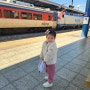 4살 아이랑 기차여행 창원중앙역→동대구역/대구아쿠아리움/대구신세계백화점/화니 한식점