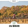 자연 생태 공간을 담은 가을 산책 명소, 성남 율동공원
