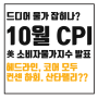 10월 CPI 발표 (소비자물가지수) 컨센 하회 & 23년도 산타랠리 과연?