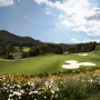 삼척 파인밸리CC 4계절에 다채로운 매력이있는 골프장