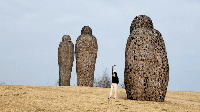 임진각 평화누리 캠핑장