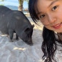 [D+13 태국]코사무이::돼지섬 코탄, 코무섬투어