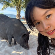 [D+13 태국]코사무이::돼지섬 코탄, 코무섬투어