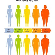 BMI 체질량 지수란? 계산방법