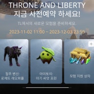 쓰론앤 리버티 THRONE AND LIBERTY (속칭 더 리니지) 사전예약 했다