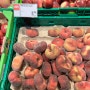 스위스 인터라켄 동역 Coop 쿱 슈퍼마켓 식료품 제품 리스트 물가