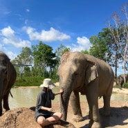 [방콕-파타야 여행 day3] 파타야 엘리펀트 정글 생추어리 투어 / 코끼리보호구역