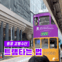 홍콩 교통수단 트램 타고 다니기! 금액, 노선, 타는법 (feat.홍콩와플)1탄