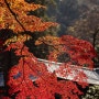 일본이야기_교토의 가을과 단풍_교토단풍명소#2 에이칸도 난젠지 수로각