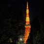 여자 혼자 해외여행 일본 여행지 추천 도쿄 자유 여행 야경 투어 도쿄타워