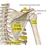 [신금호역 필라테스] 팔 통증해결 방법