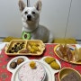 내 강아지생일파티에 빠질 수 없는 강아지케이크는 해피팡팡!!
