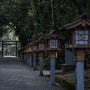 [여행] 일본 미야자키현 3日 - 미야코노조, 미야자키, 아오시마, 니치난