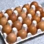 달걀 유통기한 소비기한 달걀 숫자 삶은 달걀 구운 계란 올바른 보관법