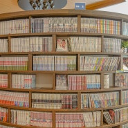 4년만에 만나는 큐슈_일본버스타는법｜하야카켄교통카드｜퀸텟사 호텔 후쿠오카 텐진 Comic & Books