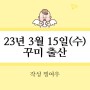 30대 엄마의 첫 출산! 23년 3월 15일(수) 38주5일 제왕절개