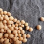 두부 등 단백질이 풍부한 콩요리가 성조숙증을 유발시킬 수 있을까요?