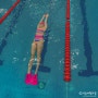 [수영일기] 새벽 수영강습 (수영 251일차), 자유형 1000m 도전