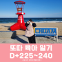 [D+225~240] 독감주사, 어린이대공원, 추암 오토캠핑장, 영도 마리노 오토캠핑장, 부산헬리녹스HCC, 면목 공동육아방