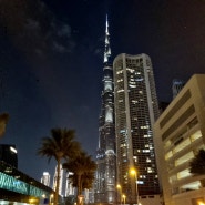 몰디브/두바이 신혼여행 : Day 5 - 몰디브 체크아웃, 두바이 이동!