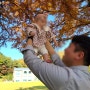 청주 아기랑 가볼만한곳 청남대 단풍 시기 가을축제 즐기기