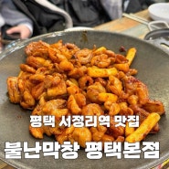 [송탄] 매콤하면서 불향 가득한 막창 맛집 - 불난막창 평택본점