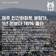 하루방앱 - 11월 17일 제주뉴스