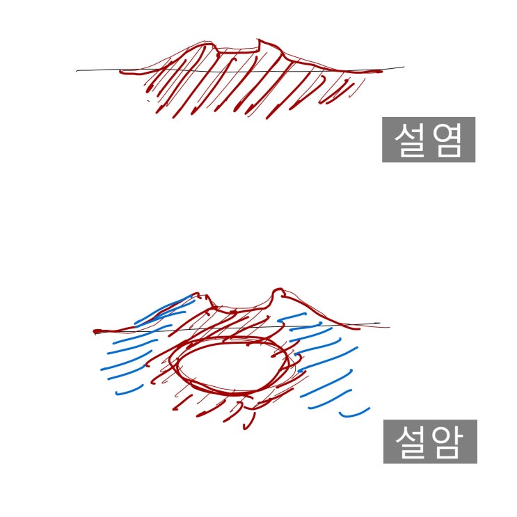 설암 초기증상 진단 : 내환내진 by 전문의 (2) : 네이버 블로그