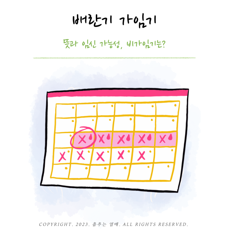 배란기 가임기 뜻 배란일 임신확률 계산기 배란기 임신가능성 비가임기는 : 네이버 블로그