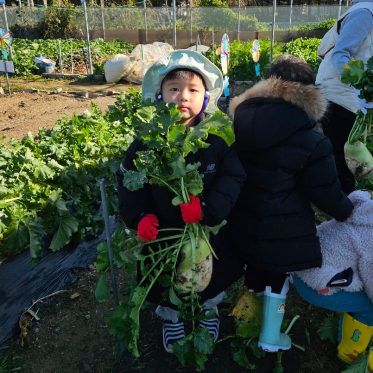 소담촌 주엽점 뽀로로파크 일산킨텍스점! 배추 무우...