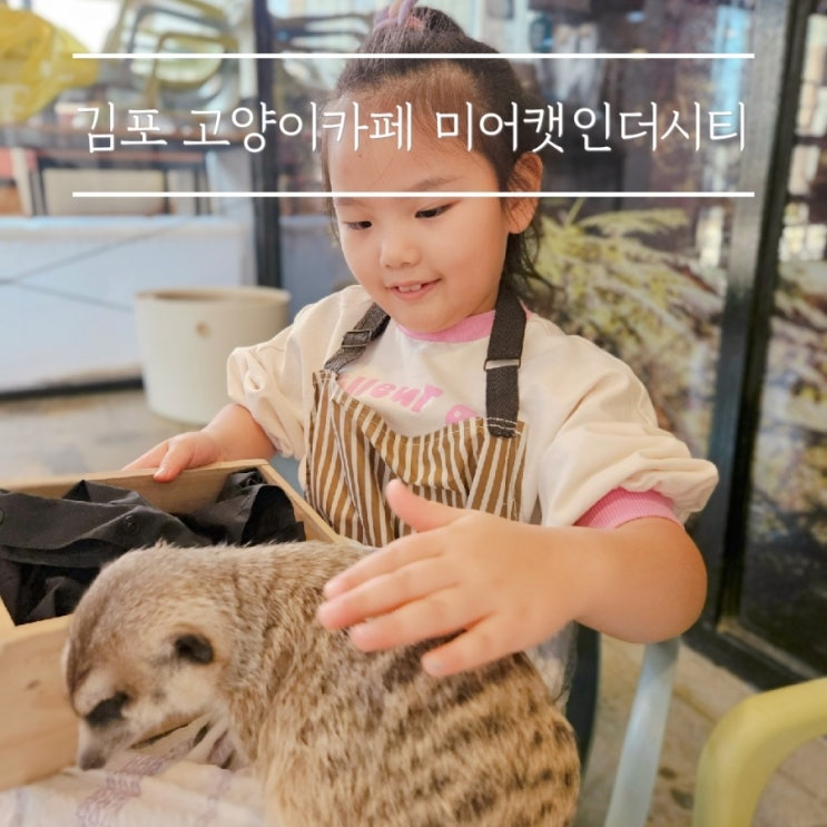 김포고양이카페 미어캣인더시티 아이랑 실내동물원 체험