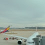 두돌 아기랑 오키나와 여행: 아시아나항공(OZ172) 인천->오키나와 탑승후기(차일드밀, 기내식 있음)