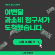 소소일기 / 10월 소비정리 소비일기장 내돈내산 후기