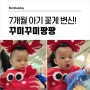 김해 문화센터 7개월 아기 꾸미꾸미팡팡 꽃게 / 홈플 문센