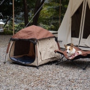 [원이영이네 캠핑] 멀리 블랙도기 강아지 캠핑 텐트, 캠핑체어, 캠핑 매트