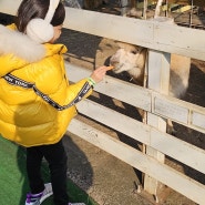 배다골 테마파크 겨울 즐겁게 즐기는 방법